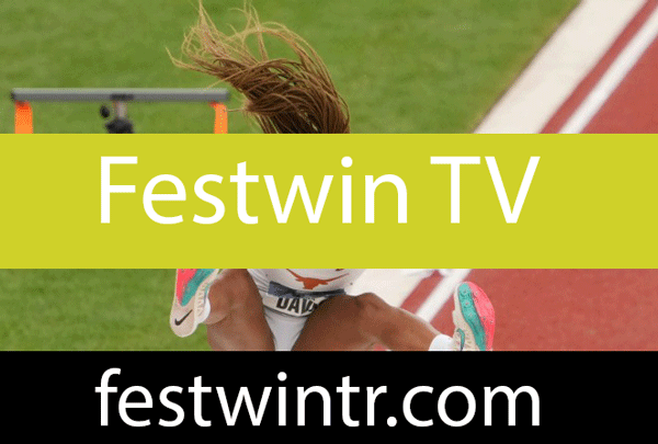 Festwin TV hizmetini hassasça ortaya koymaktadır.